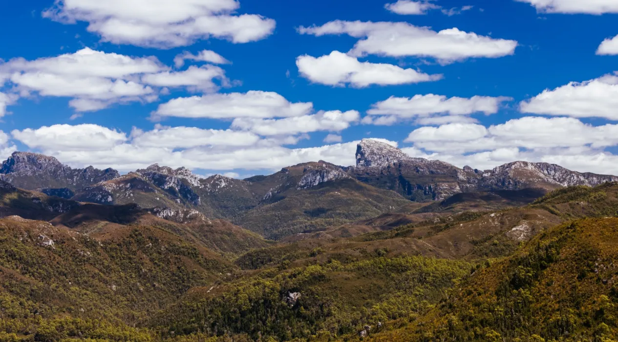 Shutterstock 2586363485