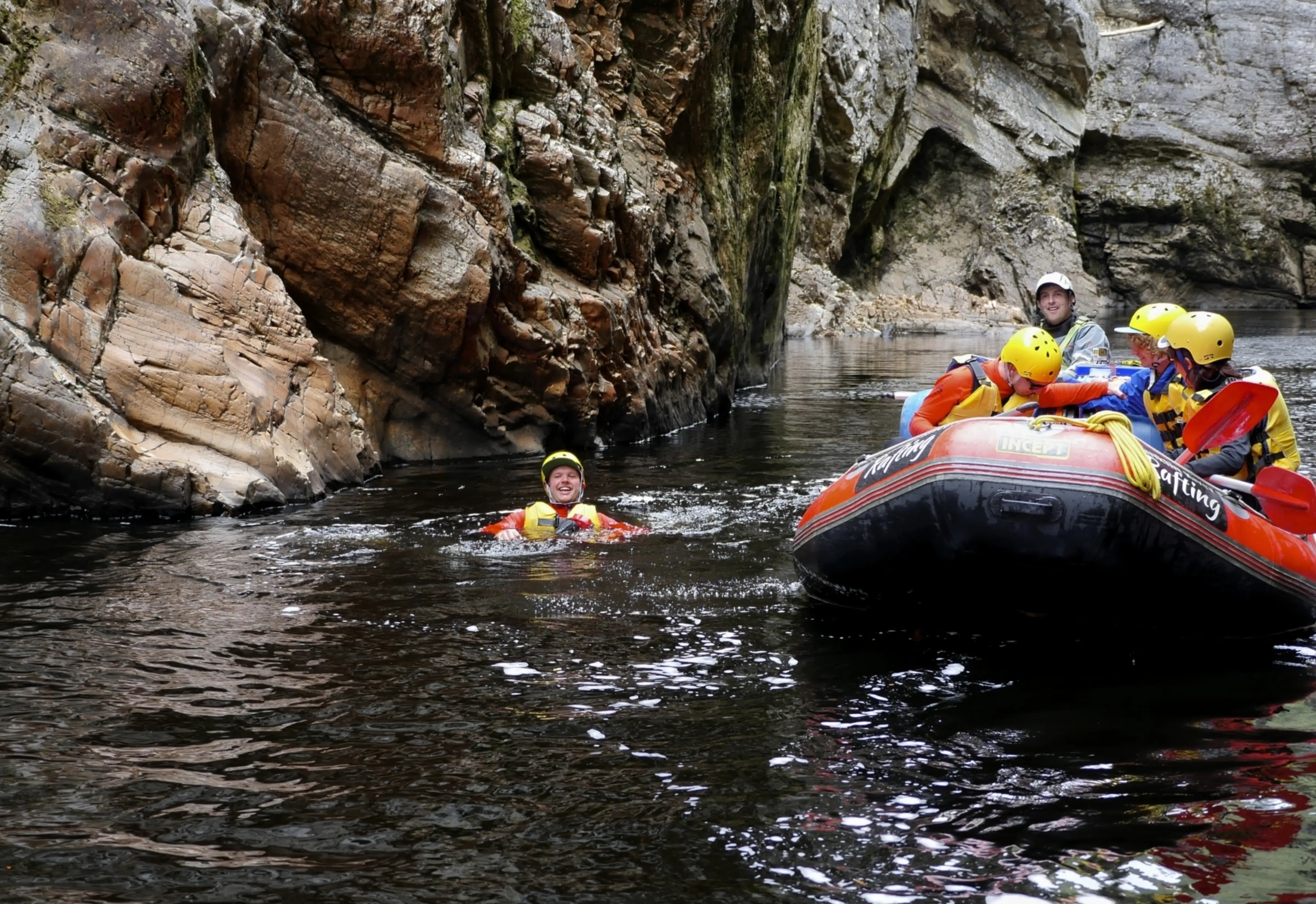 Swimming in to the Irenabyss