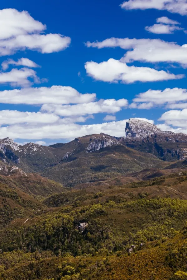 Shutterstock 2586363485